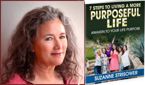 SuzanneStrisower-Guidedbook